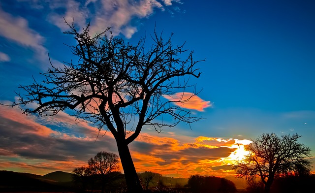 sunset-229335_640